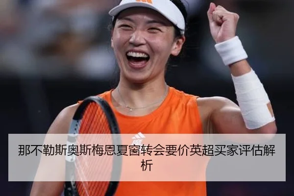 那不勒斯奥斯梅恩夏窗转会要价英超买家评估解析
